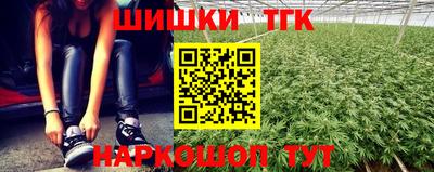 гашик Ирбит