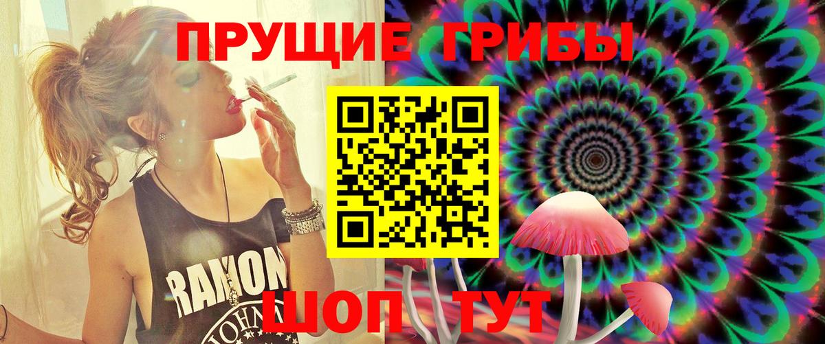 Псилоцибиновые грибы Magic Shrooms  Псилоцибиновые грибы мицелий  Славгород  Вход с VPN 